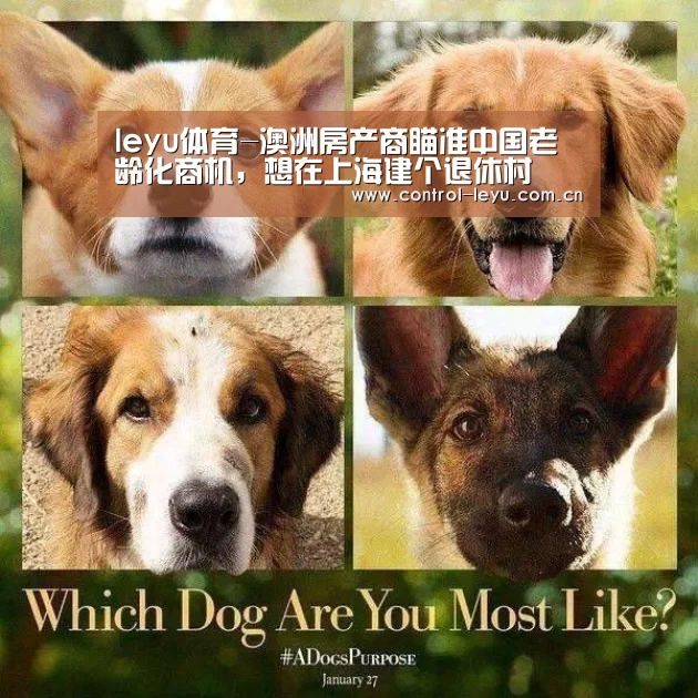 乐鱼体育平台