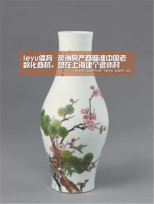 leyu体育-澳洲房产商瞄准中国老龄化商机，想在上海建个退休村