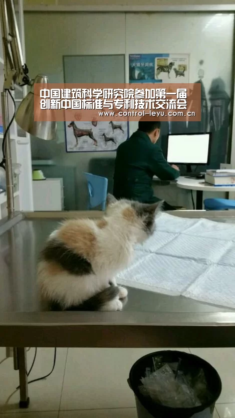 中国建筑科学研究院参加第一届创新中国标准与专利技术交流会‘乐鱼’
