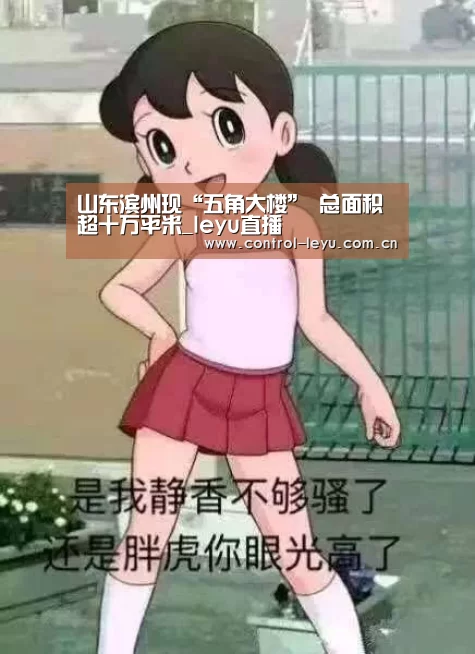 山东滨州现“五角大楼” 总面积超十万平米_leyu直播