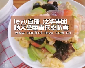 leyu直播_泛华集团杨天举董事长率队考察黑龙江省绥化市
