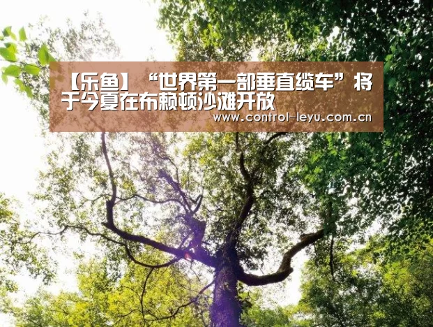 【乐鱼】“世界第一部垂直缆车”将于今夏在布赖顿沙滩开放