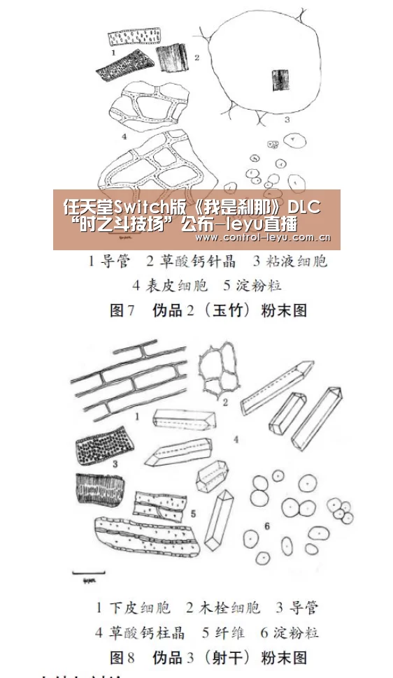 任天堂Switch版《我是刹那》DLC“时之斗技场”公布-leyu直播